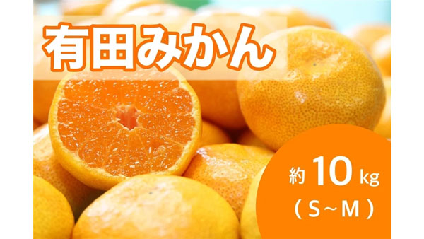 有田みかん約10kg（S～M）