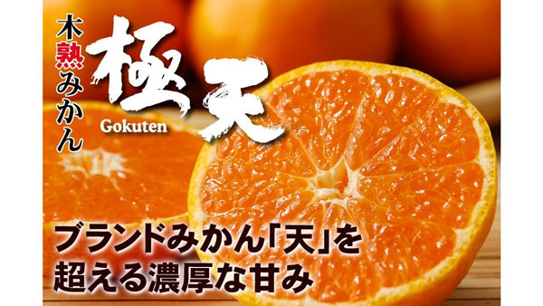 「木熟みかん」「紀州 南高梅梅干し」など送料負担なし　キャンペーン開催中　ＪＡタウン