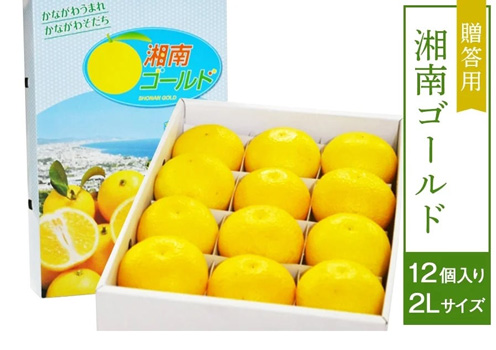 【贈答用】湘南ゴールド（2L 12個入り）