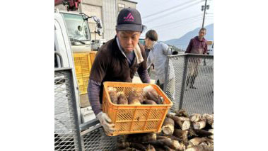 タケノコの出荷が最盛期を迎える　ＪＡ熊本市
