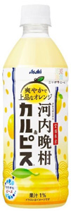 愛媛県産河内晩柑＆カルピス