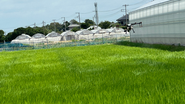 ハウスや住居が入り組んだ場所もあるためオペレータと補助者で作業をおこなう。