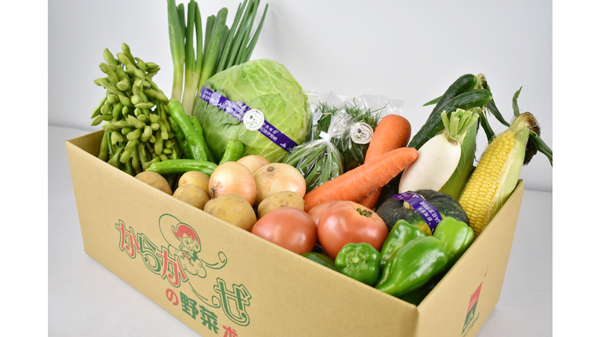直売所「からか～ぜ」店長セレクト！「野菜ボックス」