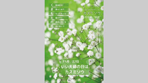 「熊本県産カスミソウフェア」みのる食堂アミュプラザくまもと店で開催　ＪＡ全農s.jpg