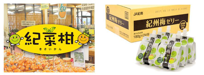 梅干し、柑橘など70商品柑橘が20％OFF「ＪＡ紀南ショップ」で年度末大決算セール開催中　ＪＡタウン