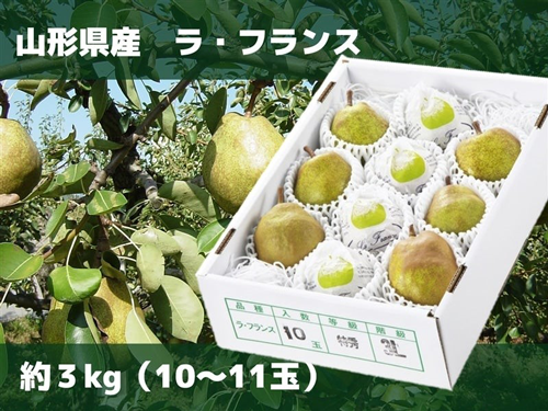 対象商品の「山形ラ・フランス　約3kg（10～11玉）」