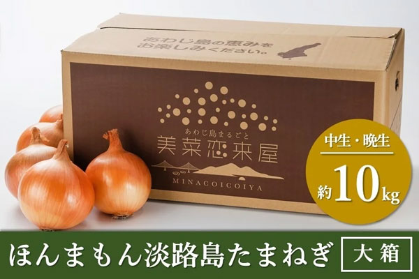 「美菜恋来屋　ほんまもん淡路島たまねぎ （大箱）」