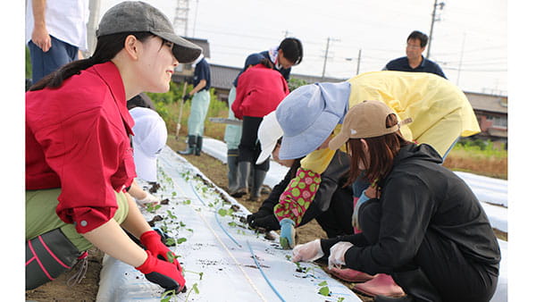 ＪＡ・生協の新入職員研修でエダマメの植え付けをするＧＫＢ4.8のみなさん