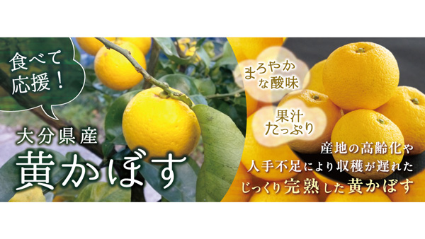 収穫が遅れた完熟の「黄かぼす　食べて応援企画」実施中　ＪＡタウン.jpg