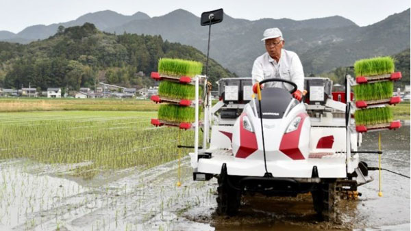 紀宝町で早場米の田植え開始　ＪＡ伊勢01-1.jpg