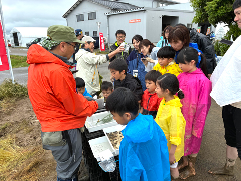 「田植え体験・田んぼの生きもの調査」