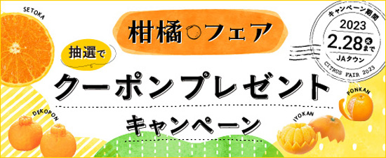 人気品種が勢ぞろい　今が旬のいちご＆柑橘フェア開始　ＪＡタウン
