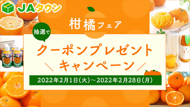 今が旬の人気品種が勢揃い　柑橘フェア＆いちごフェアを開始　ＪＡタウン
