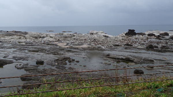 ４ｍ隆起の海岸