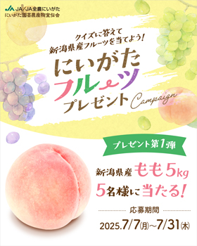 「にいがたフルーツプレゼントキャンペーン」の案内