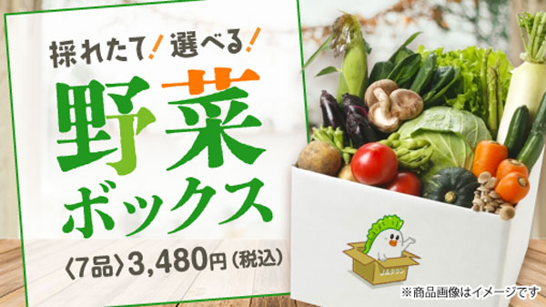 採れたて！～えらべる！野菜ボックス＜7品＞