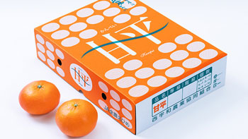 愛媛限定の希少品種「甘平」西宇和みかんオンラインストアで販売開始　ＪＡにしうわ_thumb.jpg