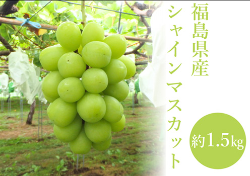 福島県産シャインマスカット
