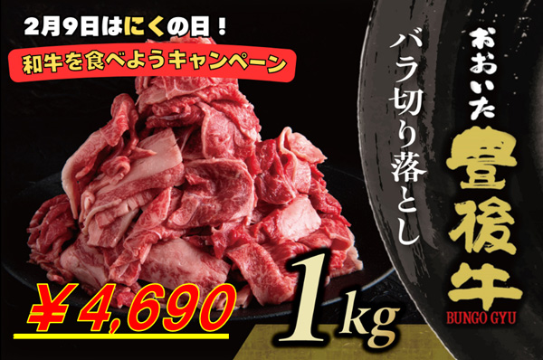 「おおいた豊後牛 　たっぷり1kgバラ切り落とし」（特別価格：4690円）