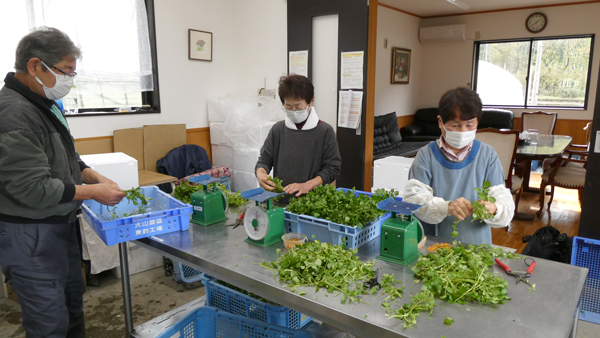 地域集落文産農場の様子