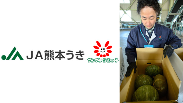 美里カボチャの出荷がピーク　20日まで出荷、総出荷量2300ケース目標　ＪＡ熊本うき.jpg