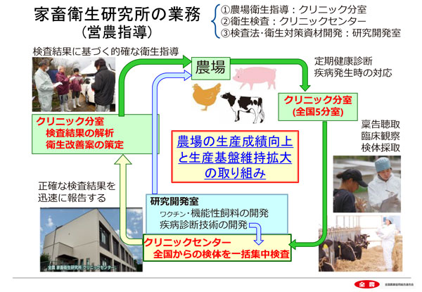 家畜衛生研究所の業務