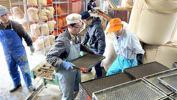 大泉育苗組合で水稲播種作業始まる　ＪＡ鶴岡