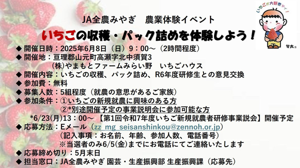 いちごの収穫・パック詰め体験会