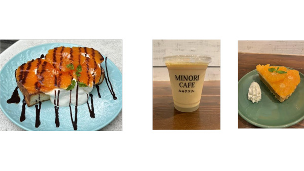 福岡県産温州みかん「北原早生フェア」みのりカフェ福岡店で開催　ＪＡ全農_2.jpg