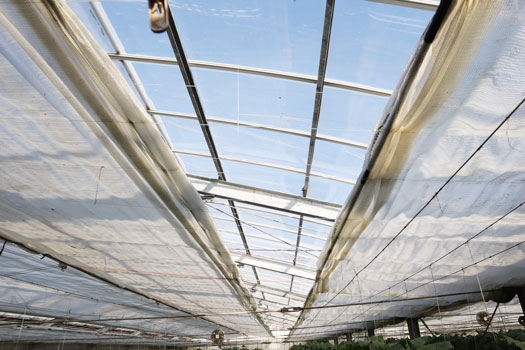 自動で開閉する施設