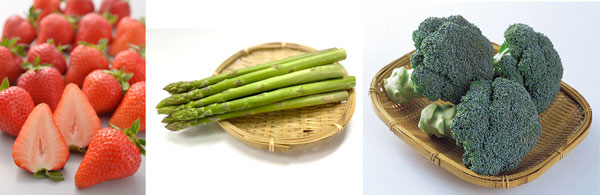 マルシェ出品予定商品の一例