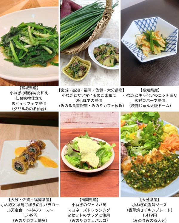 提供メニュー