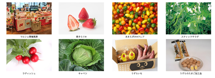 銀座三越みのりみのるマルシェ「豊橋の実り」21日に開催　ＪＡ全農