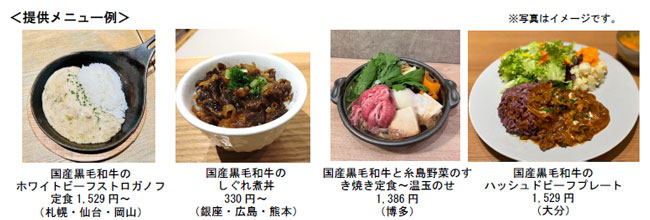 提供メニュー例