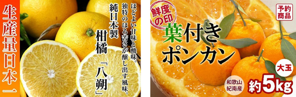 八朔　約5kg（3L又は2L）（紀の里）と葉付きポンカン大玉（30玉入り） 約5kg（紀南）