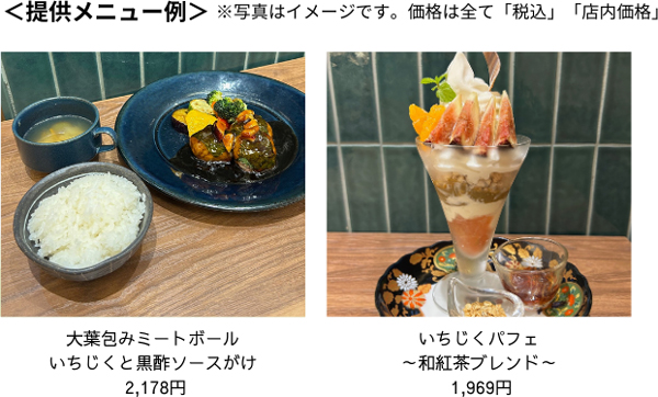 提供メニュー例