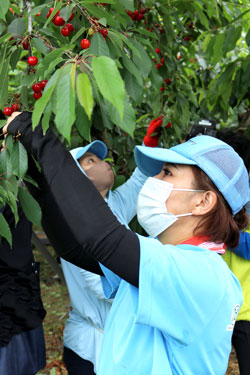 山形で労働力支援本格化