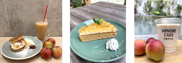 左から、みのりカフェアミュプラザ博多店の「すもものくだどら・フレッシュジュース」、 みのりカフェ福岡パルコ店の「すもものタルト」・「すもものスムージー」