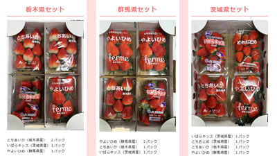 北関東3県のいちご「食べくらべセット」販売　ＪＡタウン
