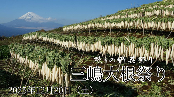 箱根西麓にある大根がくやと富士を望む風景