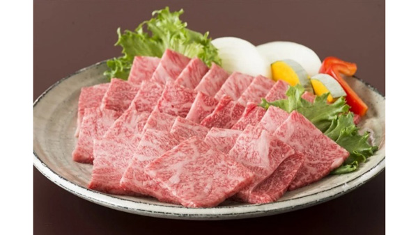 飛騨牛 肩ロース 焼肉用 500g