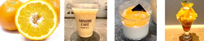 左から、愛媛県産いよかん みのりカフェで提供の「いよかんヨーグルトスムージー」（650円・税込） みのりカフェで提供の「いよかんパンナコッタ」（450円・税込） みのる食堂で提供の「いよかんパフェ」（1290円・税込）