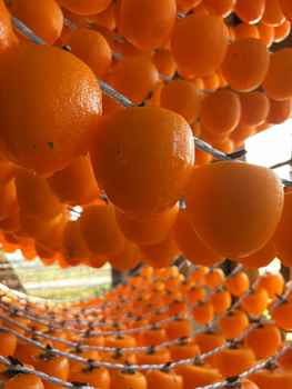 福島県のあんぽ柿