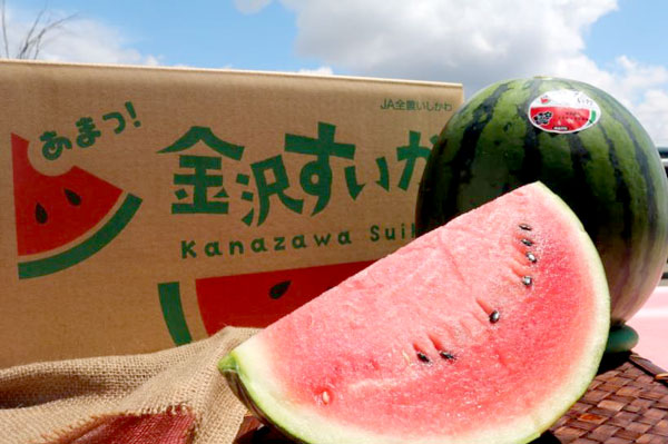 「金沢すいか」