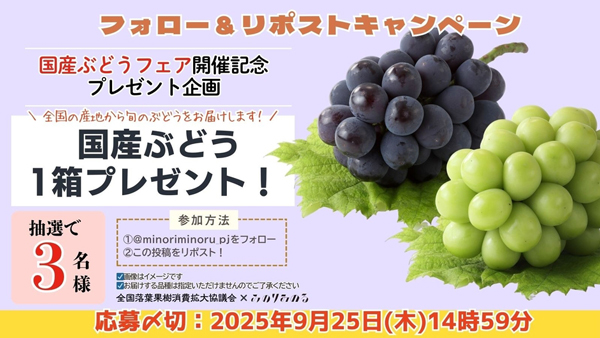 全国の旬のぶどうを食べ比べ「みのりみのるＸプレゼントキャンペーン