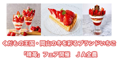 くだもの王国・岡山の冬を彩るブランドいちご「晴苺」フェア開催　ＪＡ全農s.jpg