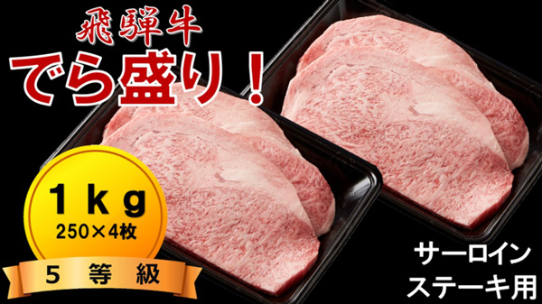 飛騨牛サーロインステーキ用（5等級）250g×4枚