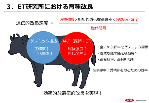 ET研究所における育種改良