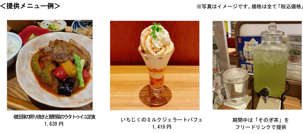 提供メニュー例