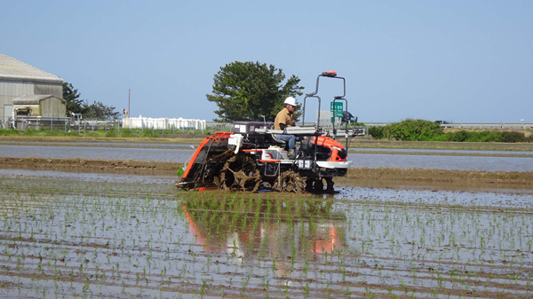 衛星画像から田植機の肥料散布を自動制御　ＪＡ全農とクボタ、ＢＡＳＦがシステム連携　石川県で実証試験
